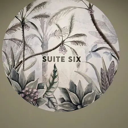 Urban Oasis Six Apts Porto