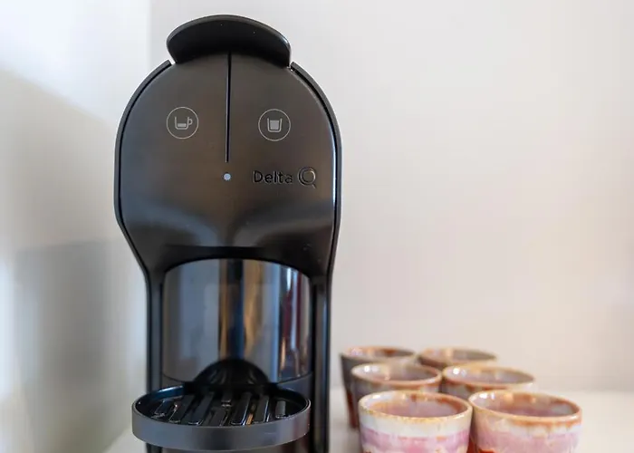 Urban Oasis Six Apts 公寓 *