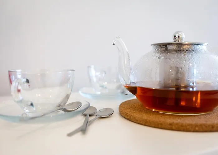 Urban Oasis Six Apts * 波尔图